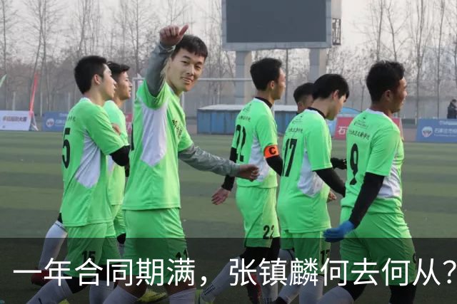 一年合同期满，张镇麟何去何从？两条路可走，看上海诚意如何了